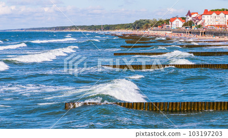 Zelenogradsk coastal view with old wooden breakwaters 103197203