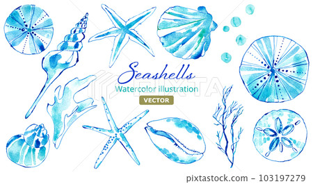 Watercolor illustration set of various seashells. image of the sea. vector. 103197279