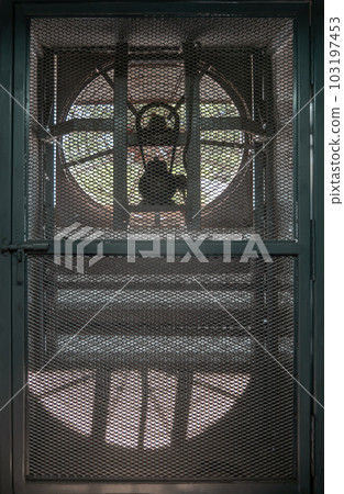 Big fan electric ventilation fan is located on the wall of the gym. 103197453