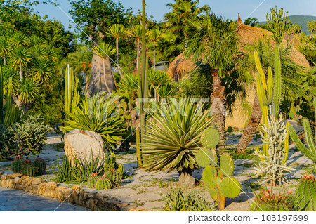 An oasis in the park. An oasis in the park. 103197699