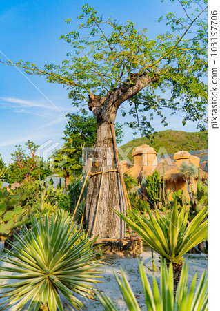 An oasis in the park. An oasis in the park. 103197706