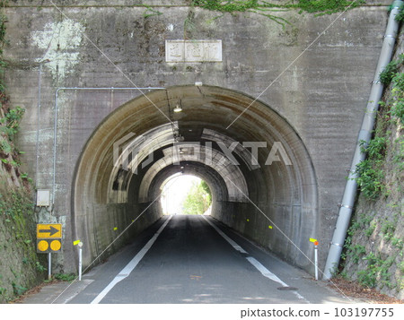 Shodoshima Willow Tunnel 103197755