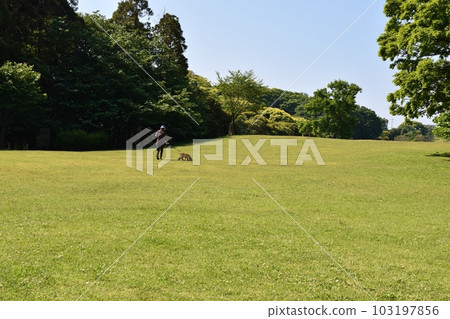Dog walking at Negishi Forest Park in May Kanagawa 103197856