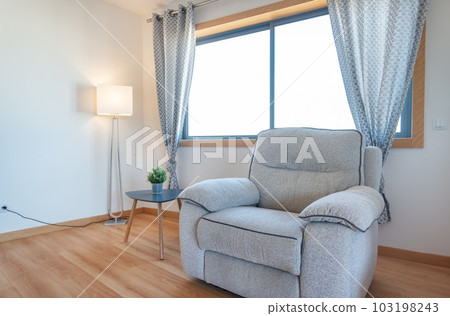Corner of a cozy living room with a lounge chair with minimalist decoration. 103198243