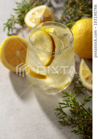 Cocktail Gin-tonic with ice, lemon, and juniper branches. 103198766