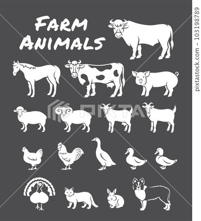 Domestic farm animals solid silhouette illustrations. Simple outline elements of large and small cattle, fowl, horse, pig, turkey, rabbit, other pets. Clip art of livestock, male and female species 103198789