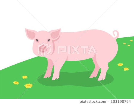 Pig standing on the green grass. Domestic farm animal grazing in a spring meadow. Flat cartoon illustration of swine. Summer grassland background Pig standing on the green grass. Domestic farm animal grazing in a spring meadow. Flat cartoon illustration of swine. Summer grassland background 103198794