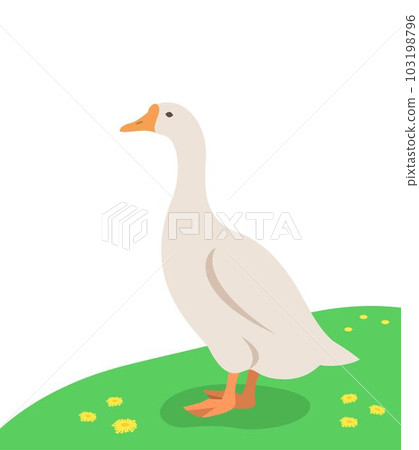 Goose standing on the green grass. Farm fowl. Domestic animals flat cartoon illustration. Spring meadow background Goose standing on the green grass. Farm fowl. Domestic animals flat cartoon illustration. Spring meadow background 103198796
