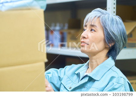Senior business woman of a worker taking inventory in a warehouse 103198799