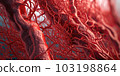 Blood vessels. Capillary, Circulatory system. Veins and arteries. Abstraction. Generative AI. 103198864