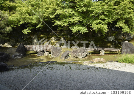 Entoku-in North Garden [Nationally Designated Scenic Beauty] 103199198