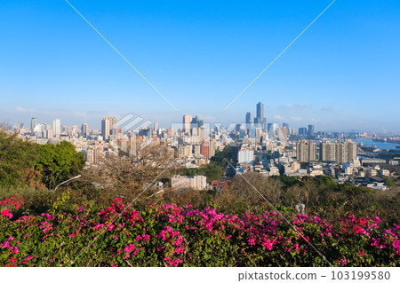 台灣高雄,從壽山情侶觀景台看到的城市景觀 台灣高雄,從壽山情侶觀景台看到的城市景觀 103199580