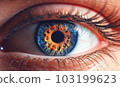Macro Photography Colorful Human Eye 103199623