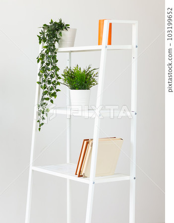 Shelf unit with books and decor artificial plant near white wall in room Shelf unit with books and decor artificial plant near white wall in room 103199652