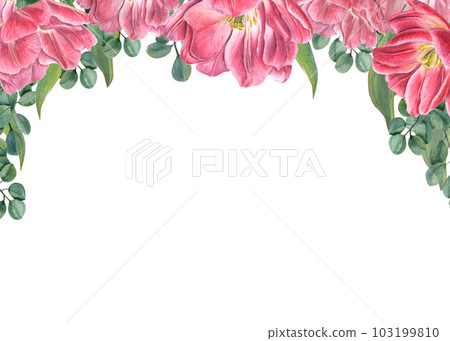 Watercolor floral horizontal frame with pink tulips and eucalyptus isolated on white background. Perfect illustration for Valentine day, wedding invitation, birthday and mother day cards Watercolor floral horizontal frame with pink tulips and eucalyptus isolated on white background. Perfect illustration for Valentine day, wedding invitation, birthday and mother day cards 103199810