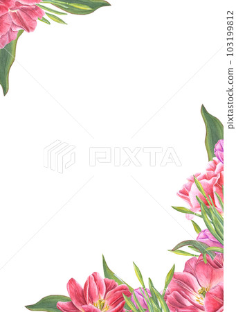 Watercolor celebration vertical frame with tulips, daffodils, leaves isolated on white background. Lovely spring illustration for greeting cards and invitations. Wedding, birthday, Valentines day 103199812