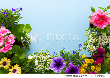 Spring decoration of a home balcony Spring decoration of a home balcony 103199828