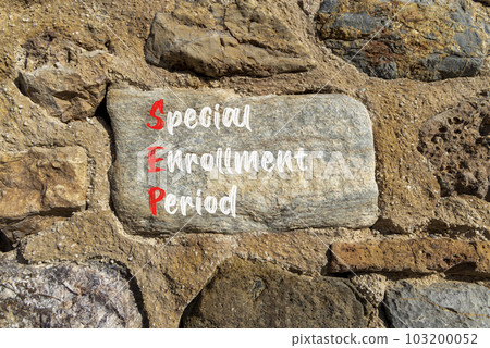 SEP symbol. Concept words SEP Special enrollment period on beautiful big stone in stone wall. Beautiful stone wall background. Medical and SEP Special enrollment period concept. Copy space. 103200052