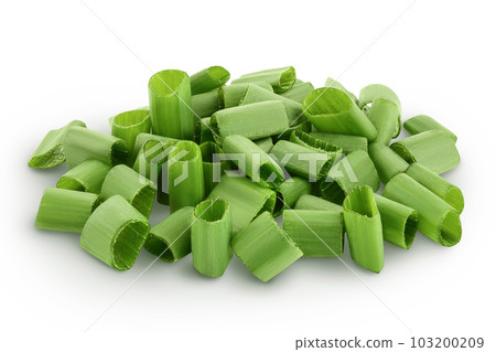 Green onion isolated on the white background with full depth of field 103200209