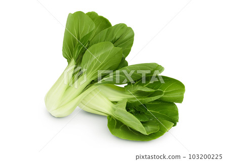 Fresh pak choi cabbage isolated on white background with full depth of field Fresh pak choi cabbage isolated on white background with full depth of field 103200225