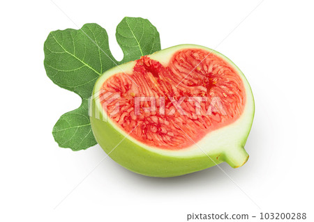 Ripe green fig fruit half isolated on white background with full depth of field 103200288