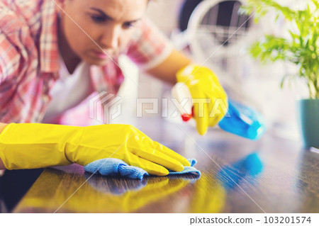 Housewife in yellow gloves wipes dust using spray detergent and rag 103201574