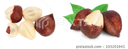 Salak snake fruit isolated on white background with  full depth of field. Top view. Flat lay. 103201641