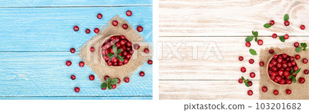 Cranberry with leaf in bowl on wooden background with copy space for your text. Top view 103201682