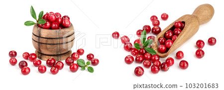 Cranberry with leaf in wooden bowl isolated on white background closeup 103201683