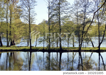 Spring on the lake 001 Spring on the lake 001 103201895