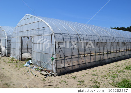 Agricultural plastic house 103202287