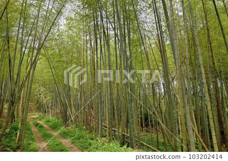 茂ouch 茂ouch 103202414