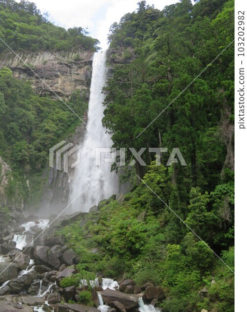Nachi Falls, Wakayama Prefecture 103202982