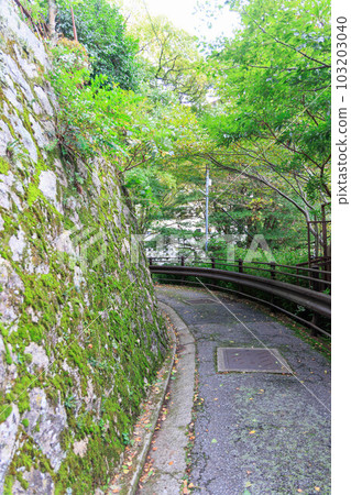 Arima Onsen town in autumn "back alley full of greenery" 103203040