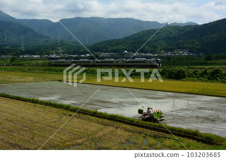HC85系列特快飛騨在初夏的伊吹山腳下奔跑(東海道本線近江長岡~柏原、2023年5月) HC85系列特快飛騨在初夏的伊吹山腳下奔跑(東海道本線近江長岡~柏原、2023年5月) 103203685