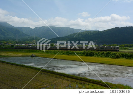 初夏在伊吹山腳下行駛的313系普通列車(東海道本線近江長岡~柏原、2023年5月) 初夏在伊吹山腳下行駛的313系普通列車(東海道本線近江長岡~柏原、2023年5月) 103203686