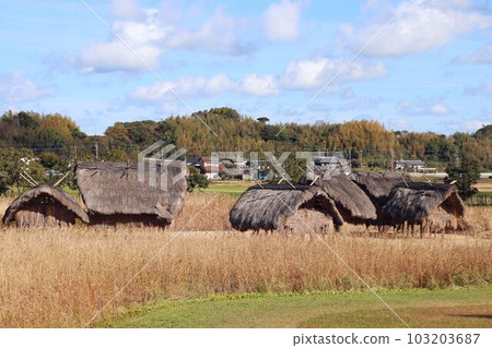 彌生之村安國寺村落遺址公園 彌生之村安國寺村落遺址公園 103203687