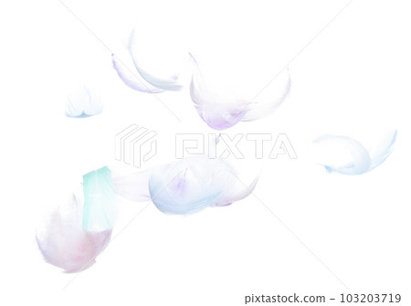 Many Pastel Feather fly fall in Air over white background isolated. Puffy Fluffy soft feathers as purity smooth like dream floating dove in sky. Angle flying from heaven, photo motion Many Pastel Feather fly fall in Air over white background isolated. Puffy Fluffy soft feathers as purity smooth like dream floating dove in sky. Angle flying from heaven, photo motion 103203719