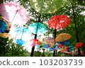 Umbrella sky 103203739