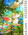 Umbrella sky 103203740