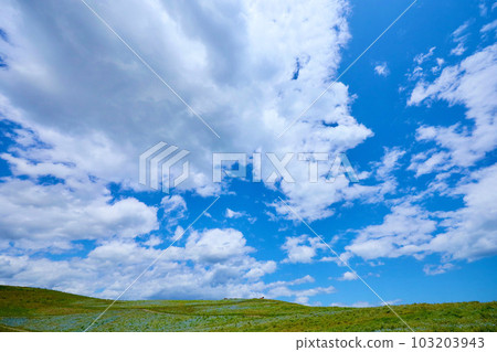 浮在天空的雲 日立海濱公園 103203943