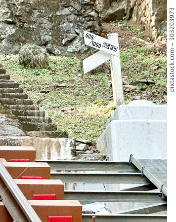 Japan's steepest cable car slope (Mt. Takao Tozan Electric Railway) Japan's steepest cable car slope (Mt. Takao Tozan Electric Railway) 103203973
