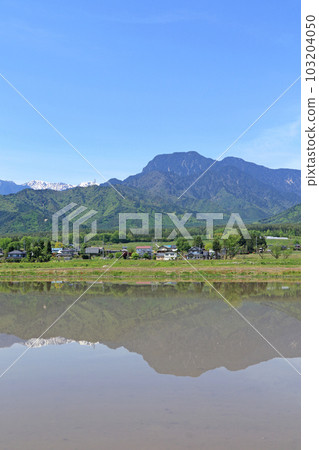 May in Azumino Countryside and Northern Alps 103204050