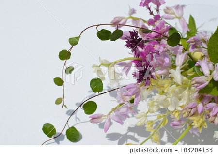 開花在庭院裡的春天花的插花 103204133