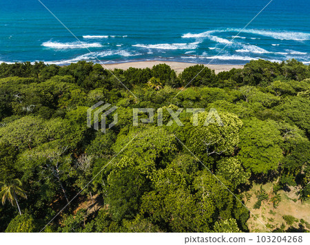 Caribbean sea on the one side, village Tortuguero inside the jungle in the middle, and huge river on the otjer side. Amazing place full of wildlife in Costa Rica Caribbean sea on the one side, village Tortuguero inside the jungle in the middle, and huge river on the otjer side. Amazing place full of wildlife in Costa Rica 103204268