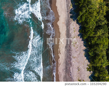 Caribbean sea on the one side, village Tortuguero inside the jungle in the middle, and huge river on the otjer side. Amazing place full of wildlife in Costa Rica Caribbean sea on the one side, village Tortuguero inside the jungle in the middle, and huge river on the otjer side. Amazing place full of wildlife in Costa Rica 103204290