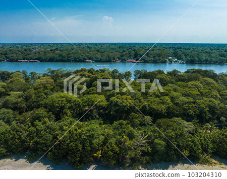 Caribbean sea on the one side, village Tortuguero inside the jungle in the middle, and huge river on the otjer side. Amazing place full of wildlife in Costa Rica 103204310