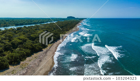 Caribbean sea on the one side, village Tortuguero inside the jungle in the middle, and huge river on the otjer side. Amazing place full of wildlife in Costa Rica Caribbean sea on the one side, village Tortuguero inside the jungle in the middle, and huge river on the otjer side. Amazing place full of wildlife in Costa Rica 103204323