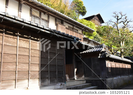 南越前町 河野北前船主屋、右近屋、洋房、河野北前船主街的新綠 103205121