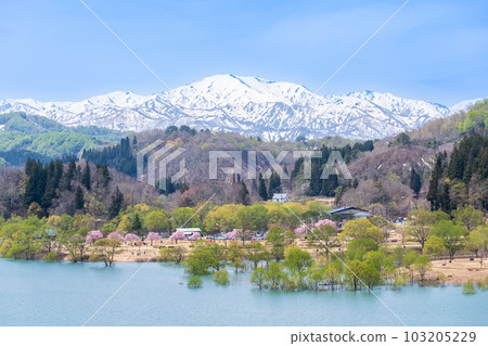 "Yamagata Prefecture" Lake Shirakawa / Mysterious submerged forest scenery only in spring "Yamagata Prefecture" Lake Shirakawa / Mysterious submerged forest scenery only in spring 103205229